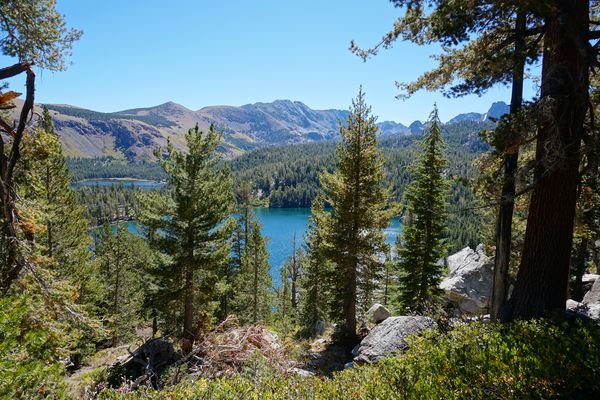 Lagos desde el sendero | Mammoth Lakes