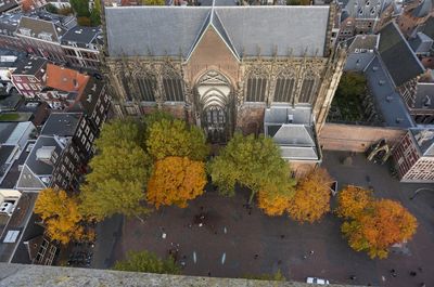 Vistas desde la Domtoren | Visita a Utrecht desde Amsterdam