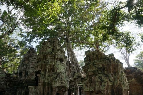 Ta Prohm | Cambodia