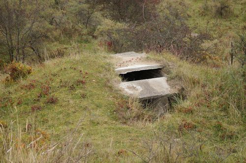 Bunker - National Park Zuid-Kennemerland