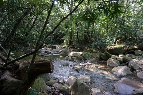 Sendero Rincon de la Vieja - Costa Rica