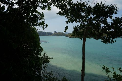 Ko Wua Talap, Mu Ko Ang Thong - Tailandia