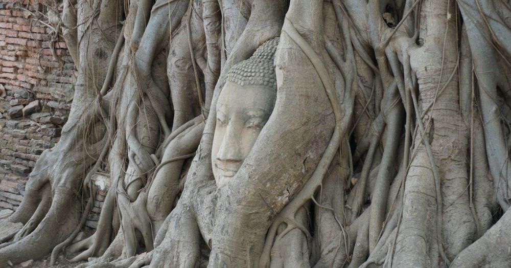 Ciudad Histórica de Ayutthaya | Tailandia